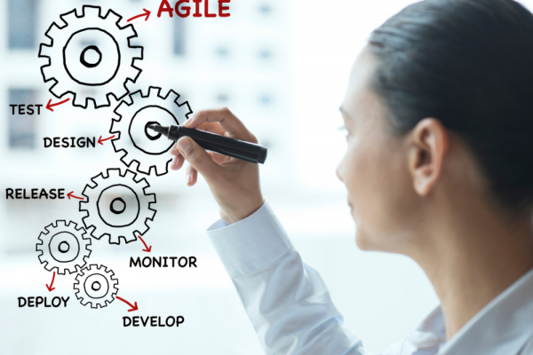 How Agile Testing Principles Ensure To Deliver Better Quality Software?
